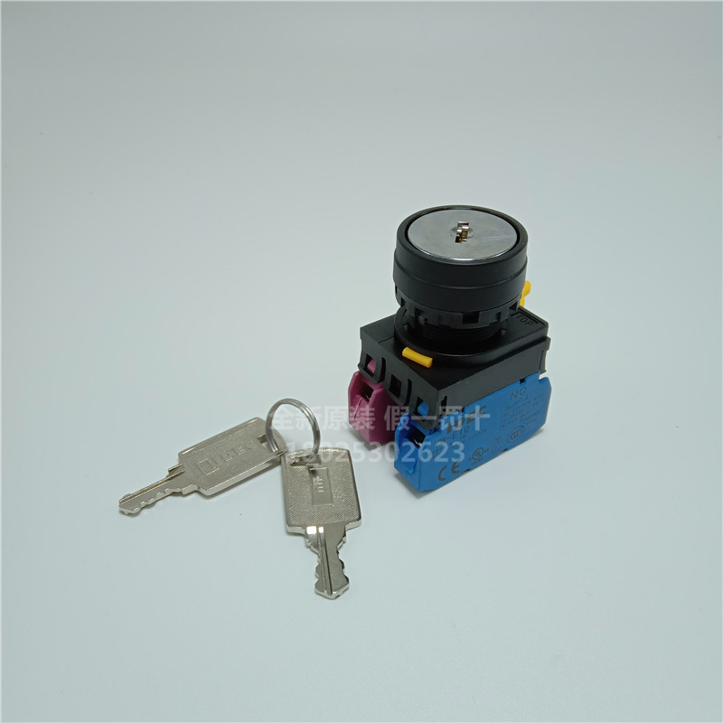 全新原裝IDEC和泉二檔自鎖位鑰匙開關YW1K-2AE11一開一閉22孔現貨